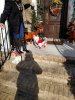20181225_094407_resized.jpg