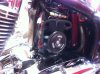 2009 mastiff wire plus 002.jpg