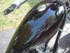 2011-05-08 15.52.59.jpg