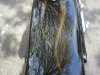 2011-05-08 15.53.16.jpg