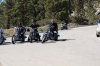 IMG_1437.jpg