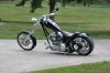 Assorted Pictures 143.jpg