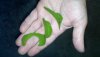 2012-03-30_19-55-57_70.jpg