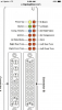 AF68973C-F3B8-4782-B068-6F577A1D3A4F.png
