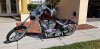 bike 2019.1.jpg