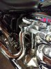 IMG_20200408_191236708[1].jpg