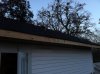 Iphone pictures 368.jpg
