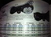 Iphone pictures 388.jpg