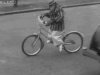 ape on a bike.jpg