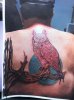 Iphone pictures 477.jpg