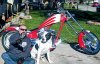 IMG_20200430_175205.jpg