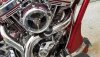 20200603_114703[1].jpg