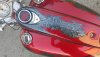 thumbnail_20200904_180149.jpg