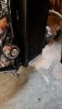 20200914_180042.jpg