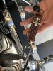 IMG_4142.jpeg