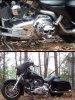 K9 primary skull.jpg K9 primary skull.jpg