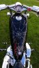 Big Dog q 092017.jpg