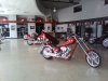 IMG_20110408_105850.jpg