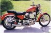 sportster.jpg