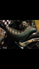 69D83278-D90C-4C08-84B3-FDE9BB65E084.png