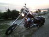 120113 k9 in choctaw sunset.jpg
