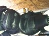 Iphone pictures 865.jpg