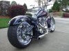 Big Dog 032512 013.jpg