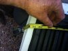 Iphone pictures 942.jpg