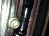 Iphone pictures 959.jpg