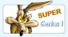 Wile E Coyote.jpg