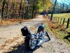 big dog5.jpg