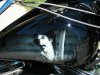 DSCN4177.jpg
