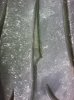 split tire 029.jpg