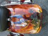 small kevins bike 009.jpg