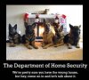 dogs3.jpg