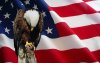 Eagle and flag 2.jpg Eagle and flag 2.jpg