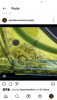 Screenshot_2022-07-06-11-07-19.png
