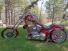 IMG_20220423_122808.jpg