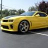 05ridgeback