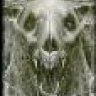 Bigdogrider99