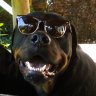 Johno