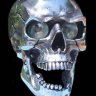 gearhead63