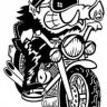 roadhogg