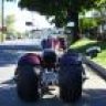 pitbull04