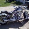 prostock31