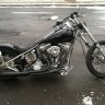 alleycat3677