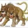 Cerberus