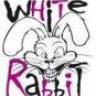 WRabbit