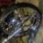 lbccycles