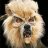 Wolfman Dan